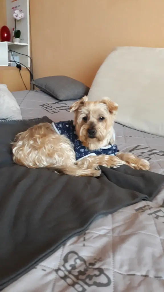 Andachtsbild von Krzysztof und Ewa mit Jacki im Herzen ❤