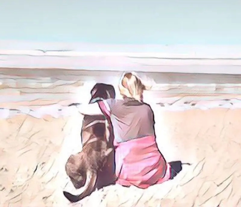 Andachtsbild von Seelenhund Enzo