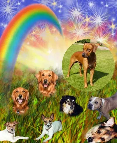 Andachtsbild von ❤️❤️❤️❤️❤️❤️❤️❤️❤️❤️❤️❤️