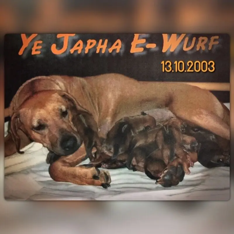 Andachtsbild von Frauchen