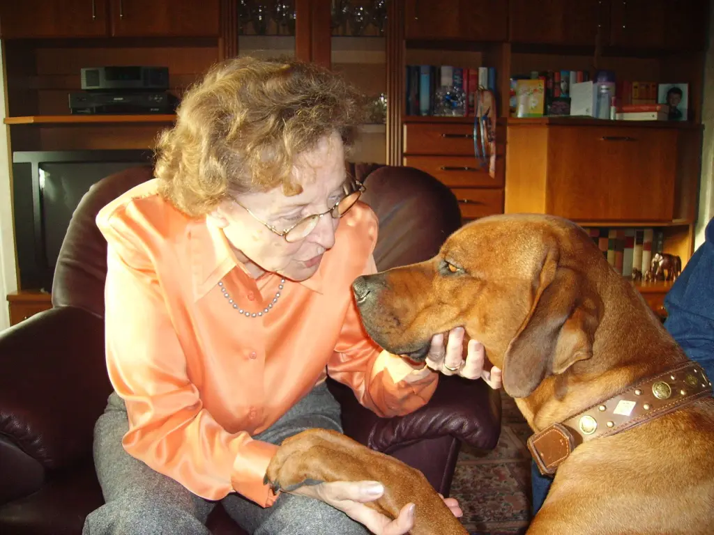 Andachtsbild von Frauchen