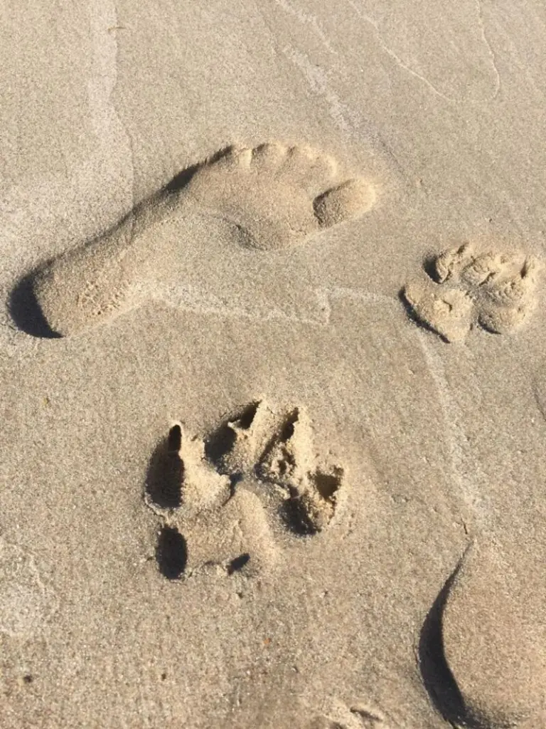 Andachtsbild von Frauchen