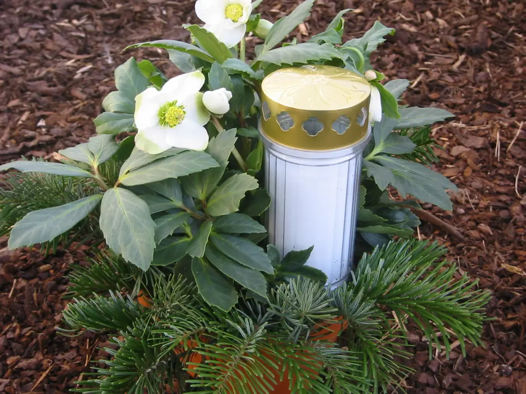 Andachtsbild von Frauchen