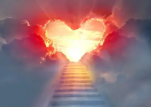 Condolence image of Frauchen