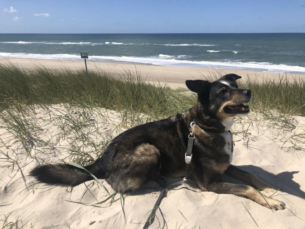 Image from Ben