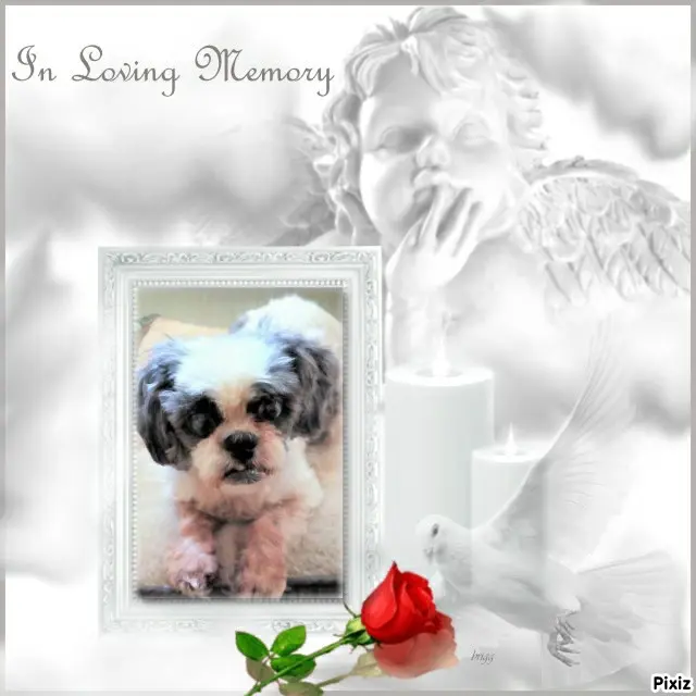 Andachtsbild von Tanja mit Timmy im Herzen