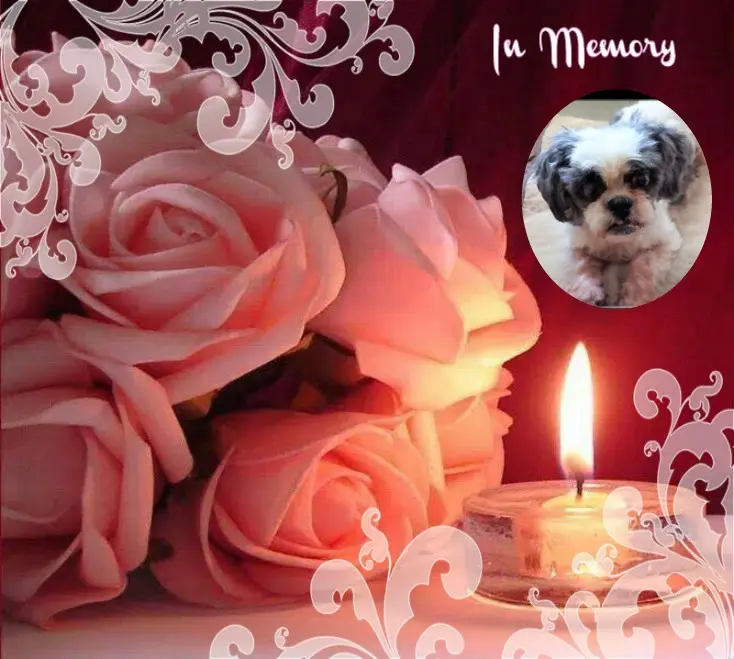 Andachtsbild von Donnerstag❤️Rosen❤️❤️❤️❤️❤️❤️❤️