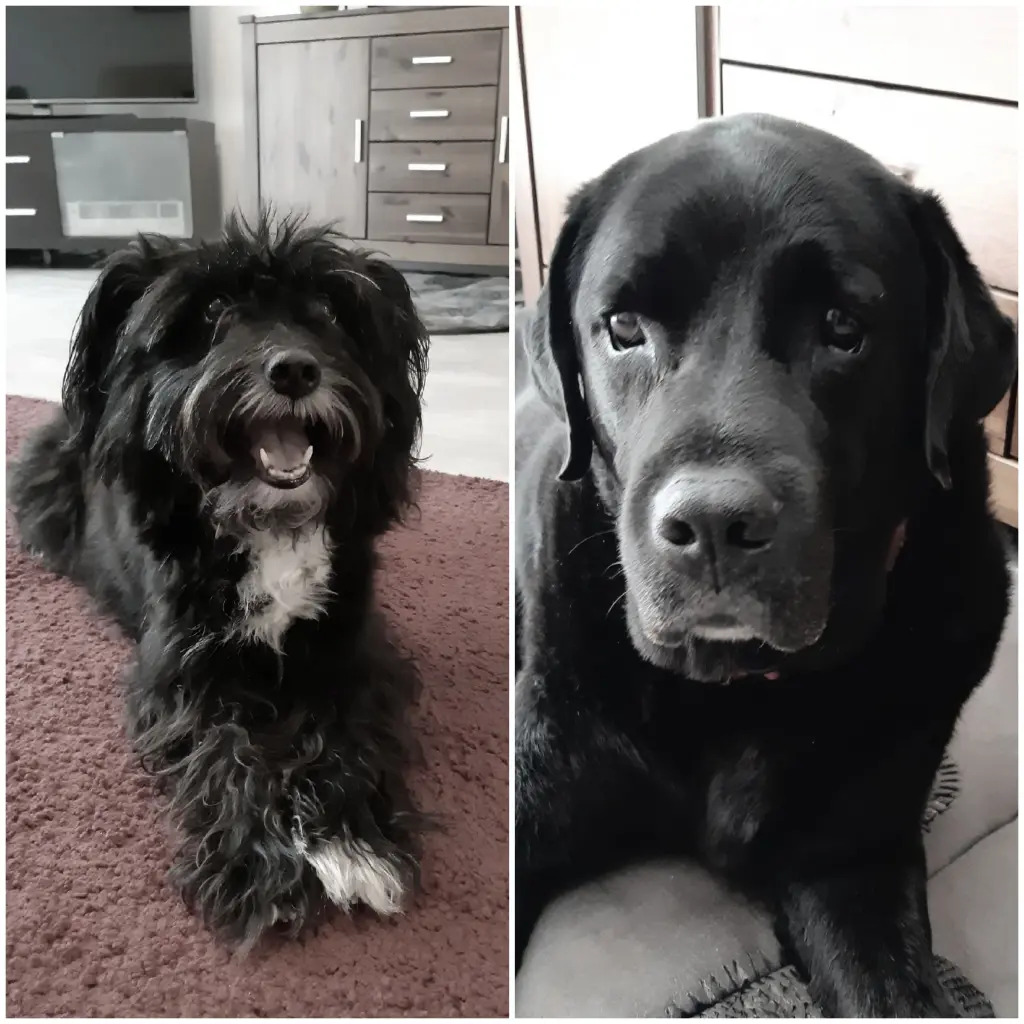 Andachtsbild von Von Nilgün mit Fia und Nero im Herzen