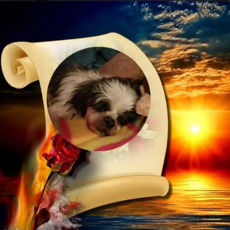 Andachtsbild von Gute❤️❤️❤️Nacht❤️❤️❤️❤️❤️