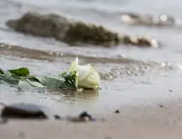 Andachtsbild von Anja mit Maja & Gräuli im ༺❤️༻