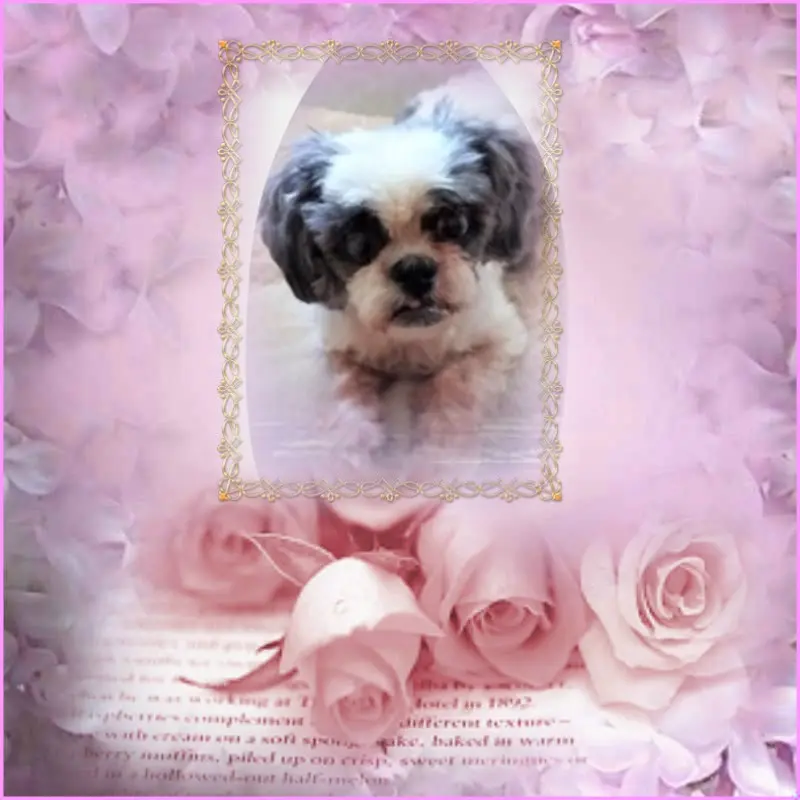 Andachtsbild von Drei Wochen....❤️❤️❤️