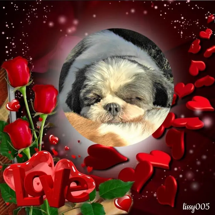 Andachtsbild von Gute❤️❤️❤️Nacht❤️❤️❤️❤️❤️