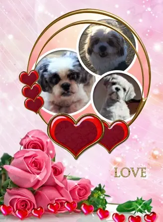 Andachtsbild von Fur Missylein❤️