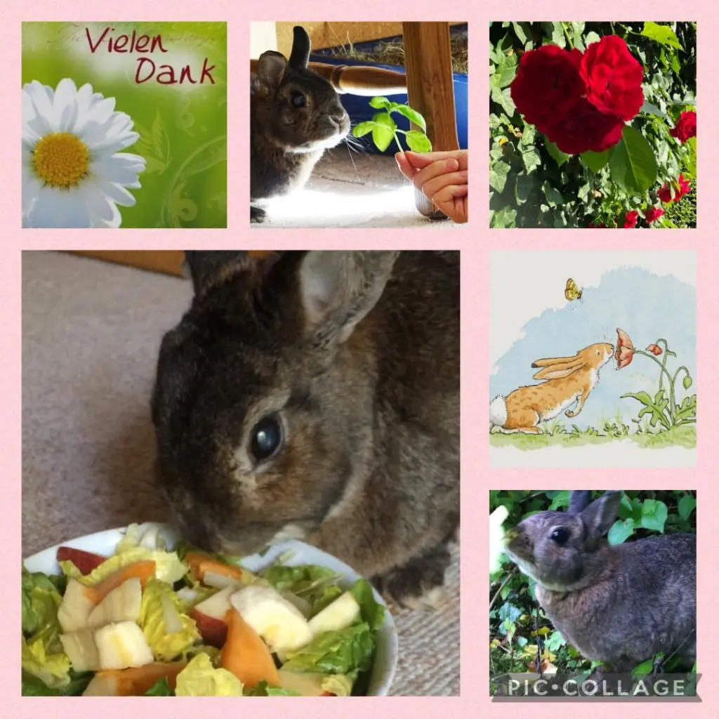 Andachtsbild von Danke von Pauline & Drina