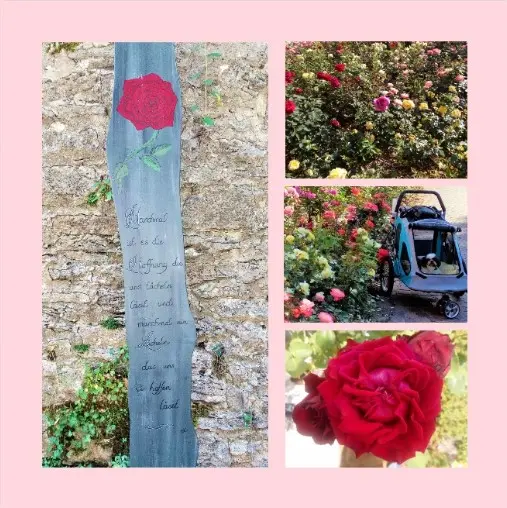 Andachtsbild von 6 Wochen