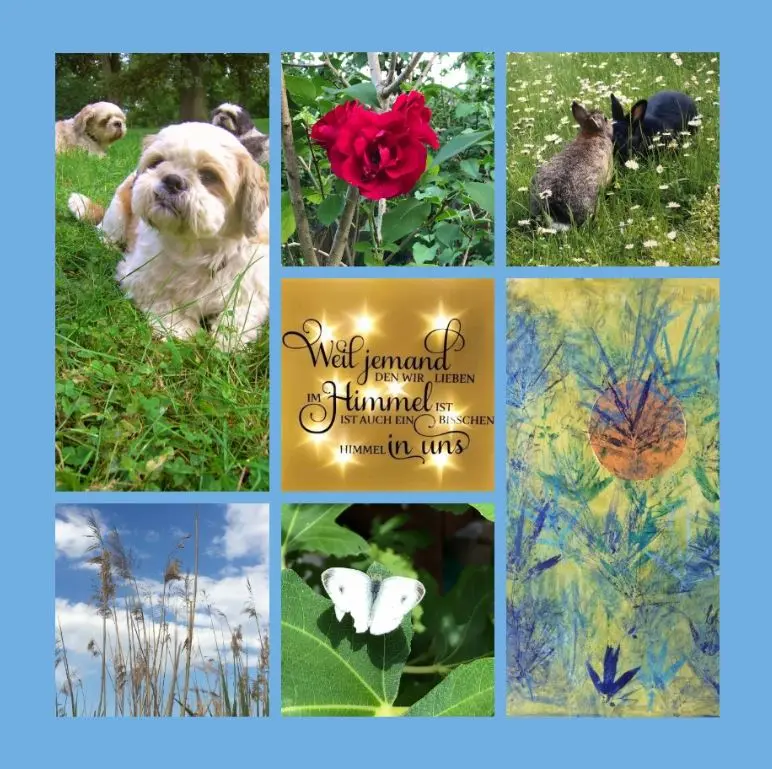 Andachtsbild von Eine Luna-Rose für Missy 