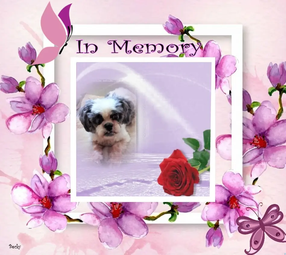 Andachtsbild von 7.Wochen❤️❤️❤️❤️❤️❤️❤️