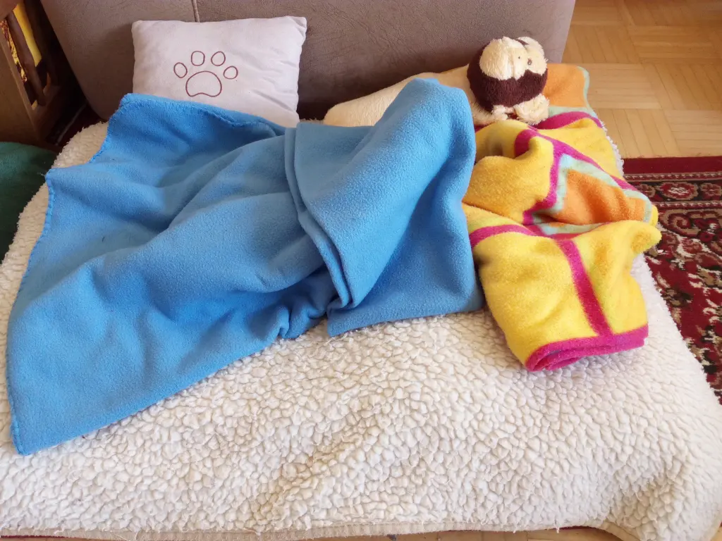 Andachtsbild von 7 Wochen...