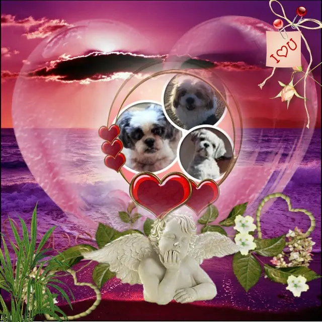 Andachtsbild von 2.Monate.....