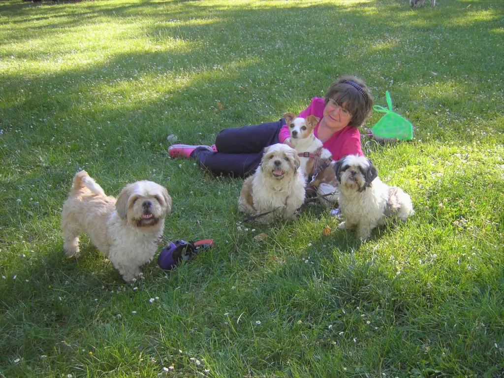 Andachtsbild von Rosen für Dich Missy-Mäuschen zur 9. Sternchen-Woche