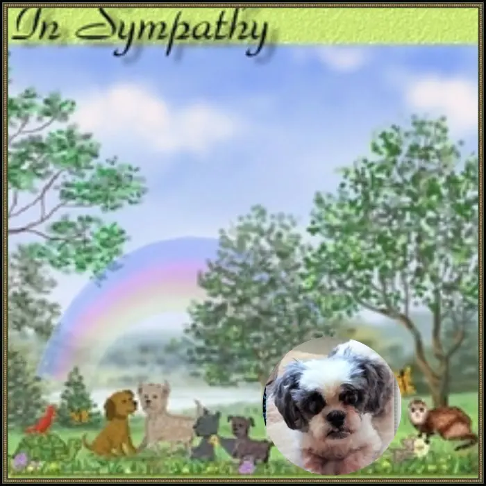 Andachtsbild von 9 Wochen❤️