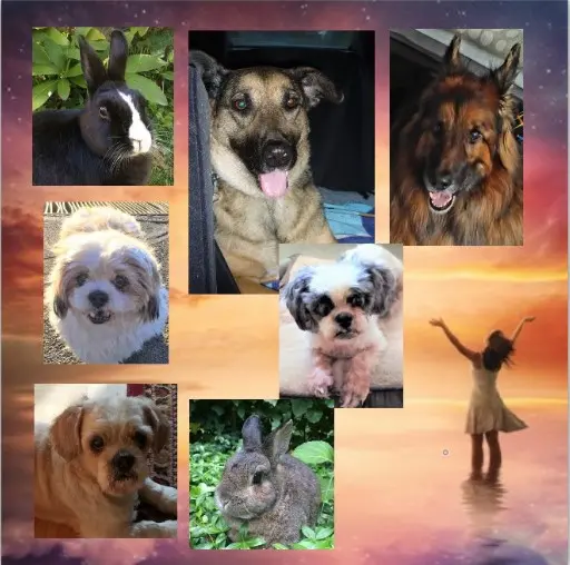 Andachtsbild von 10 Wochen...