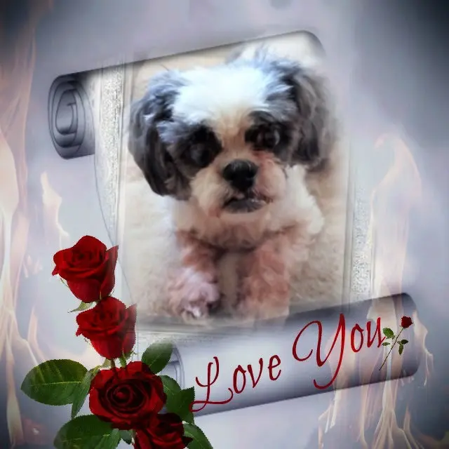 Andachtsbild von 10. Wochen❤️❤️❤️❤️❤️❤️❤️❤️❤️❤️