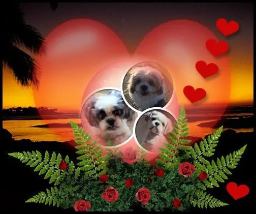 Andachtsbild von 10. Wochen❤️❤️❤️❤️❤️❤️❤️❤️❤️❤️