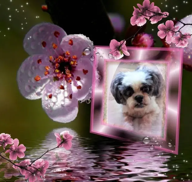 Andachtsbild von 11. Wochen❤️❤️❤️❤️❤️❤️❤️❤️❤️❤️❤️