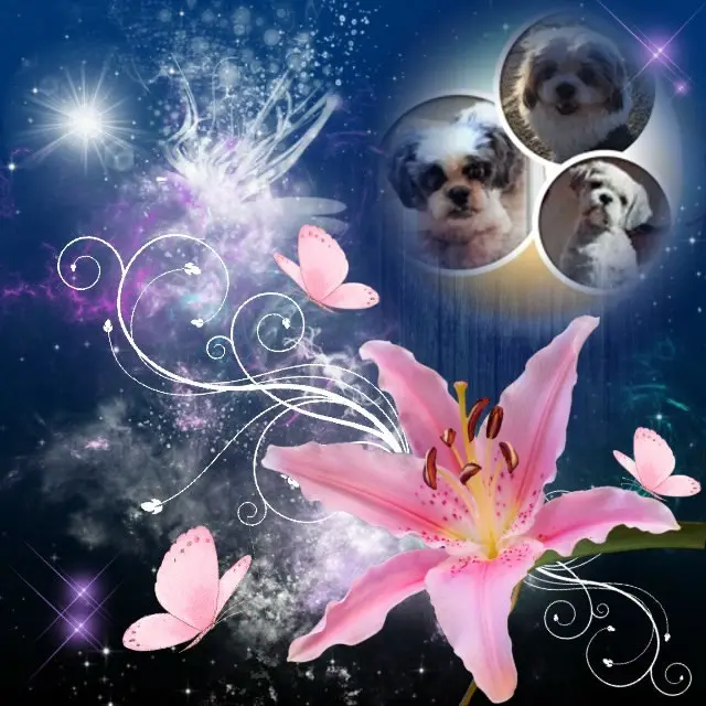 Andachtsbild von 11. Wochen❤️❤️❤️❤️❤️❤️❤️❤️❤️❤️❤️