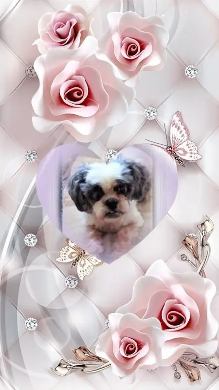 Andachtsbild von 12. Wochen❤️❤️❤️❤️❤️❤️❤️❤️❤️❤️❤️❤️