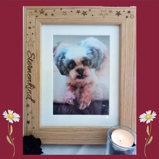 Andachtsbild von Rosen für Dich Missy-Mäuschen zur 15. Sternchen-Woche ❀✰♥