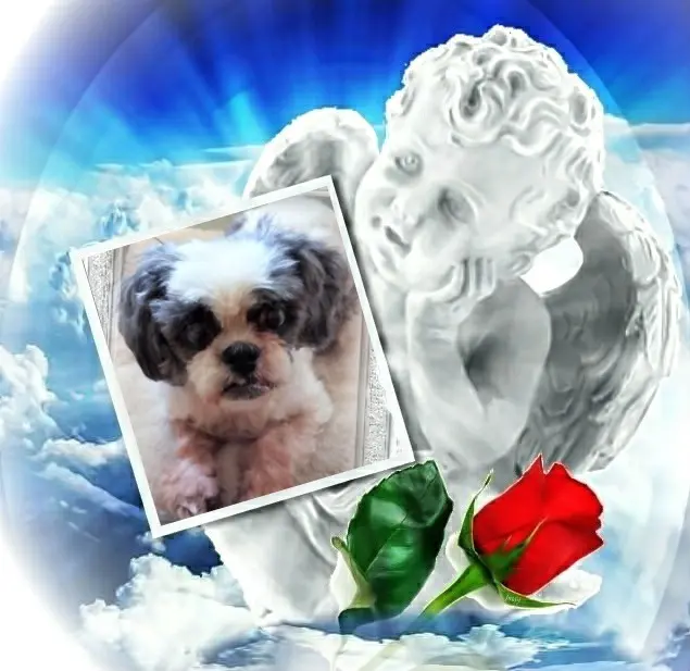 Andachtsbild von 16 Wochen❤️❤️❤️❤️❤️❤️❤️❤️❤️❤️❤️❤️❤️❤️❤️❤️