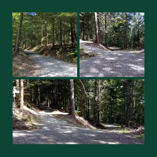 Andachtsbild von Rosen für Missy zur 17. Sternchen-Woche ❀✰♥