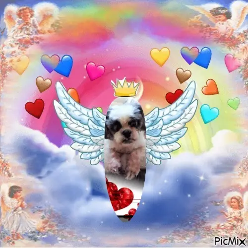 Andachtsbild von 4 Monate.....Ohne Dich❤️Liebste❤️❤️❤️❤️❤️❤️❤️Missylein❤️