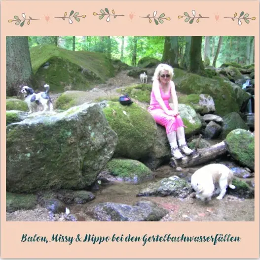 Andachtsbild von Rosen für Missy zur 18. Sternchen-Woche ❀✰♥