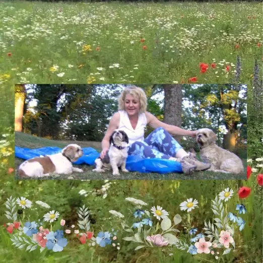 Andachtsbild von Herbstrosen für Euch zur 20. Sternchen-Woche ❀✰♥¸.•*¨*•.¸❀✰♥