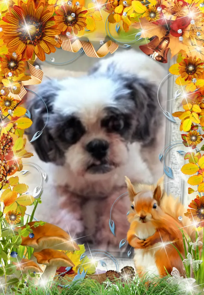 Andachtsbild von 5.Monate......Ohne Dich❤Liebste❤❤❤❤❤❤❤Missy❤