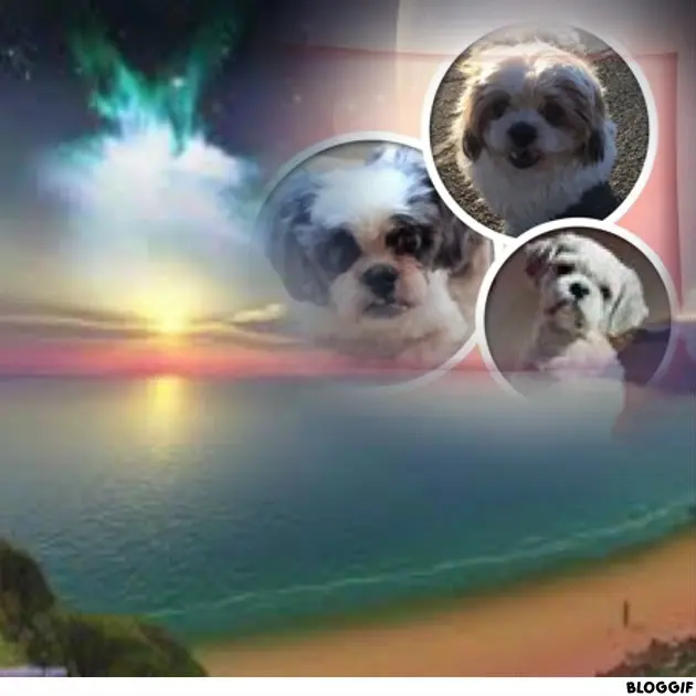 Andachtsbild von Gute❤️❤️❤️Nacht❤️❤️❤️❤️❤️