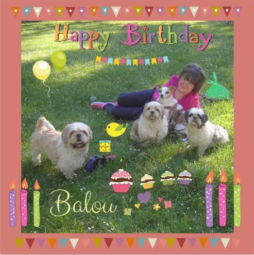 Andachtsbild von Rosen zu Balous 21. Geburtstagsfeier