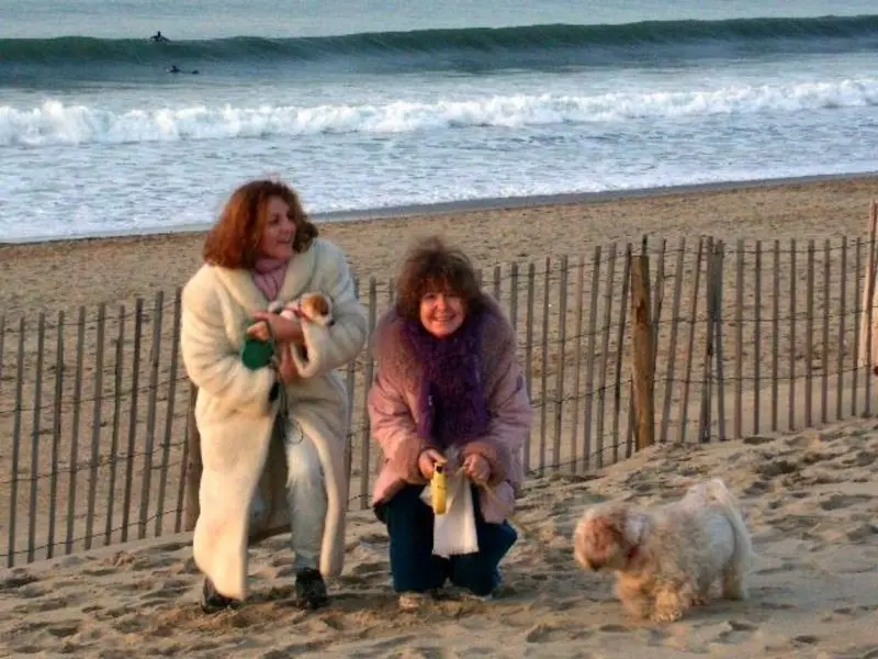 Andachtsbild von Für Purzele