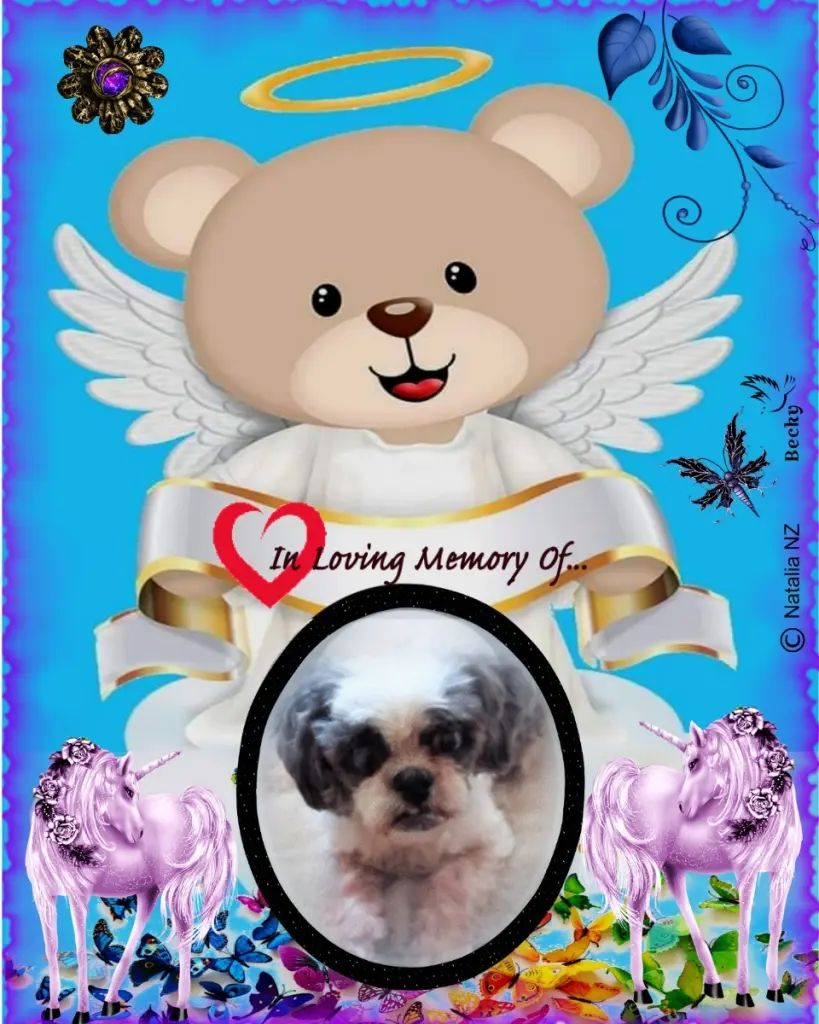 Andachtsbild von 6 .Monate.......Ohne Dich❤Liebste❤❤❤Missyleinchen❤