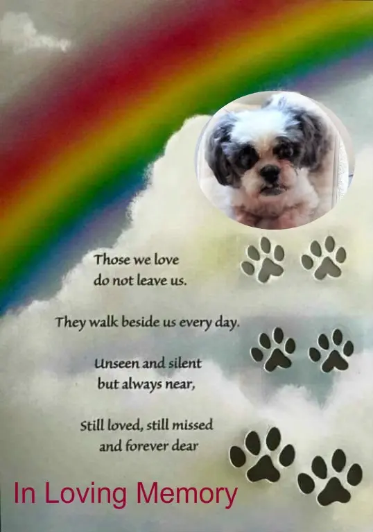 Andachtsbild von ❤️❤️❤️❤️❤️❤️❤️❤️❤️❤️❤️❤️