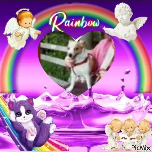 Andachtsbild von Fur Purzelchen❤