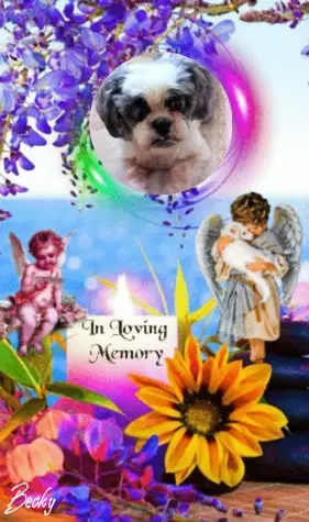 Andachtsbild von 27 Wochen.....in Regenbogenland❤