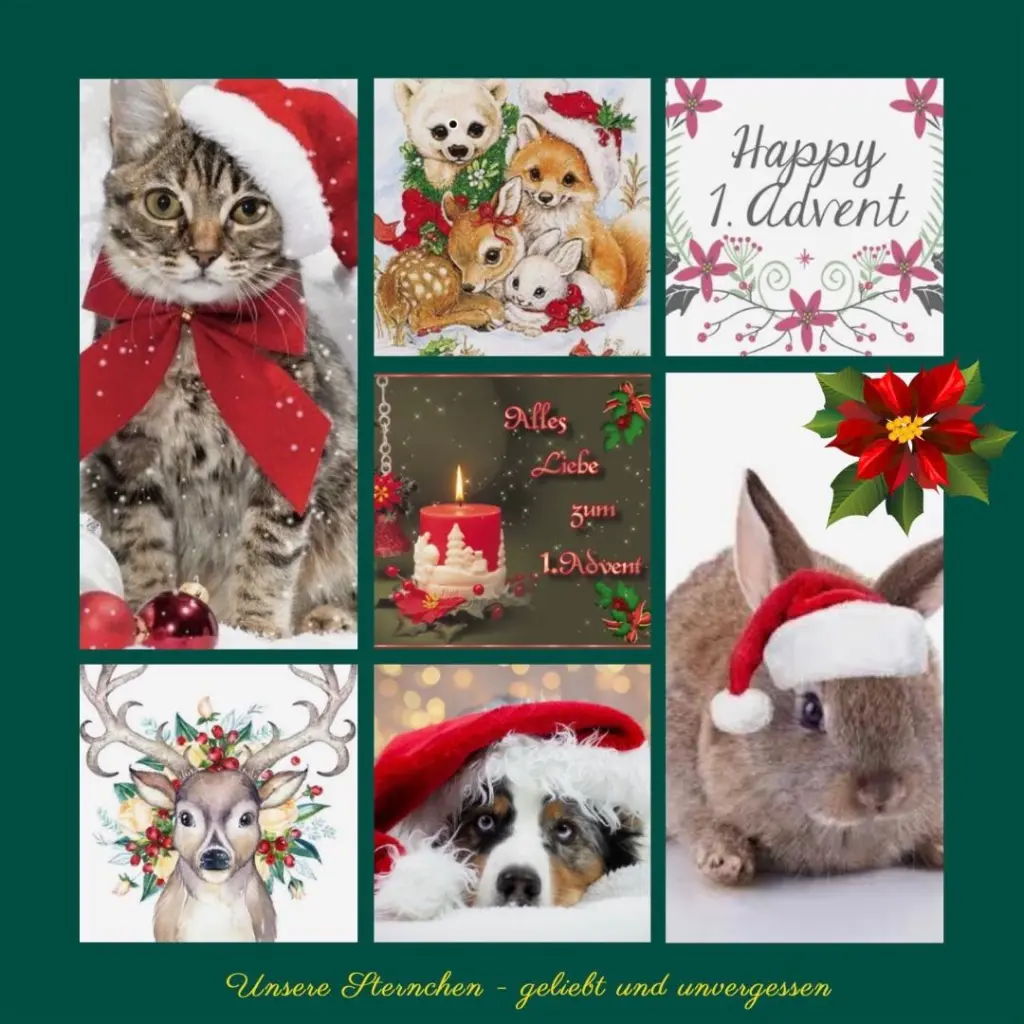 Andachtsbild von Für Missy zum 1. Advent