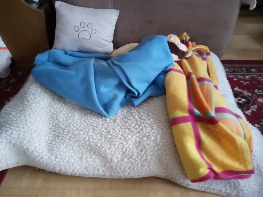 Andachtsbild von Rosen zum Wiederzusammensein seit 29 Wochen ❀✰♥