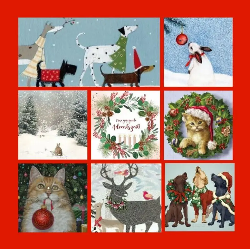 Andachtsbild von Zwei Adventsrosen für Missy 