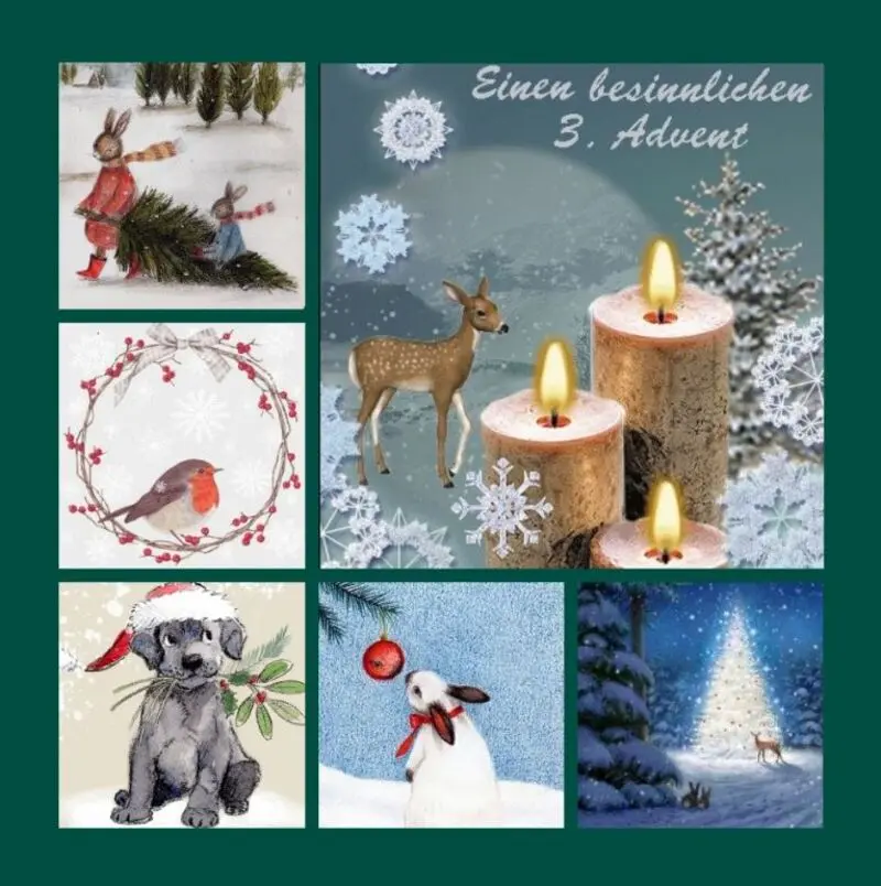 Andachtsbild von Eine Sonntagsrose für Missy 