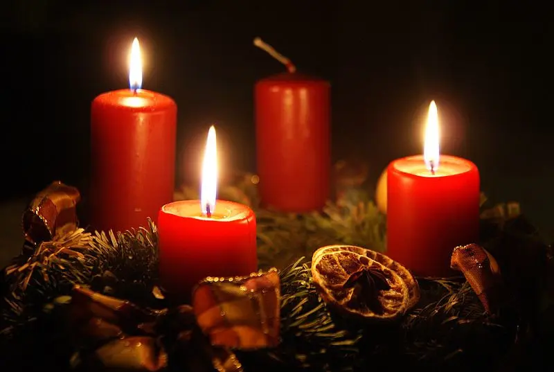 Andachtsbild von Rosen für Missy, Hippo und Balou zum 3. Advent